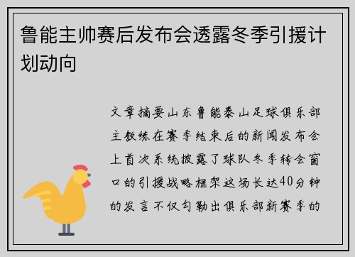 鲁能主帅赛后发布会透露冬季引援计划动向